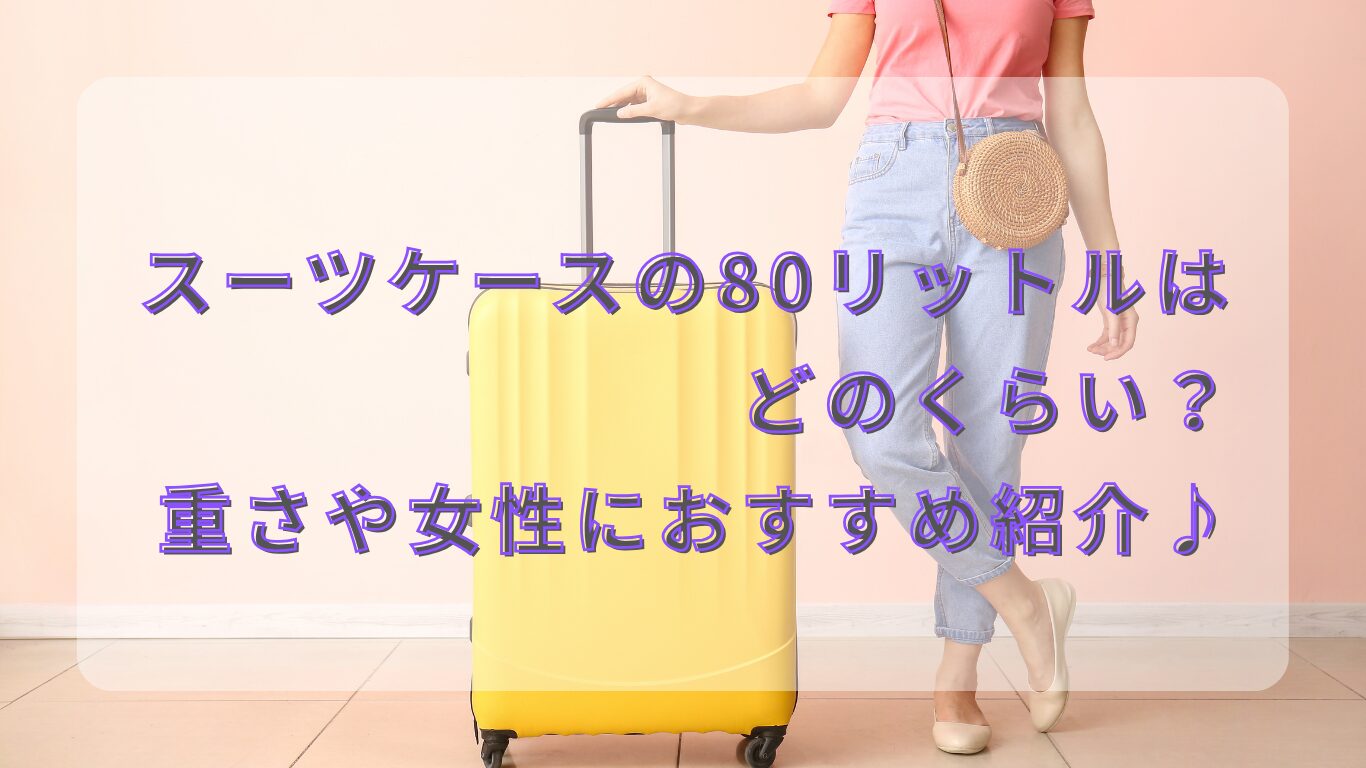 スーツの80リットルはどのくらい?重さや女性におすすめ紹介♪
