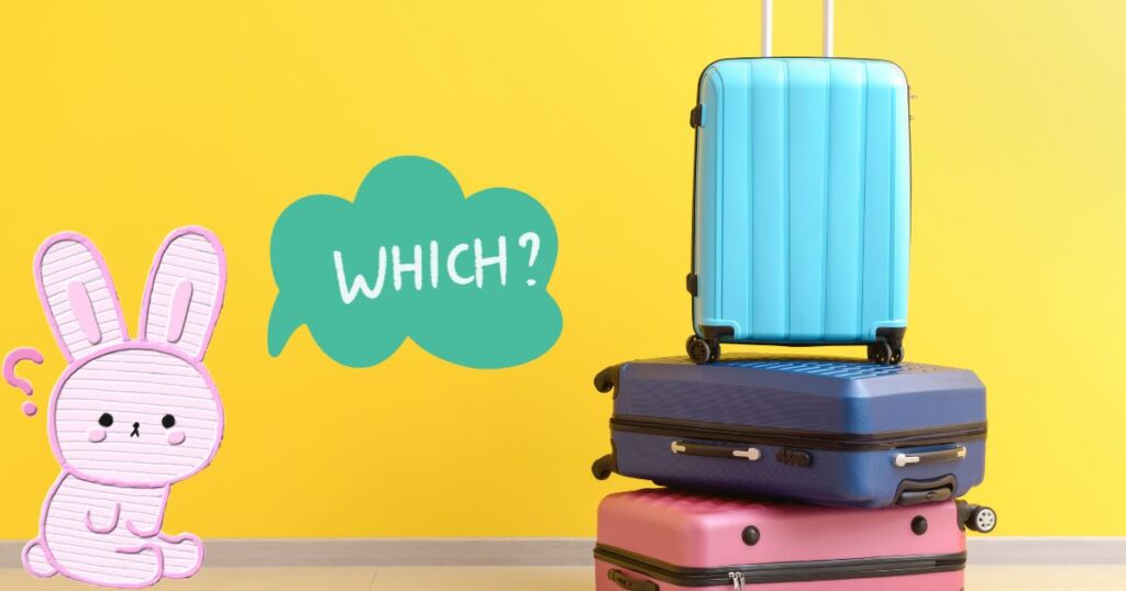 スーツケースの写真とうさぎのイラストWHICH?の文字