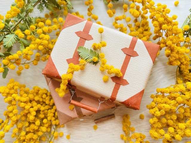 旅行鞄とミモザの花々