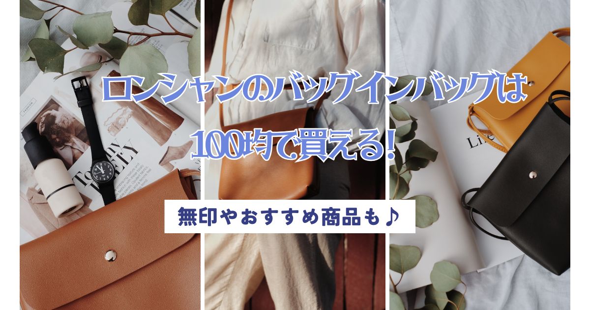 ロンシャンのバッグインバッグは100均で買える!無印やおすすめ商品も♪