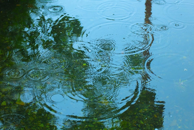雨が降っている地面の様子