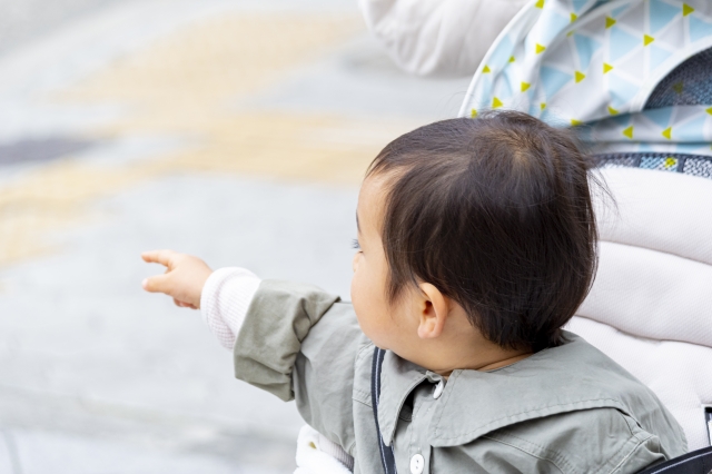 ベビーカーに乗り指差しをしている子供